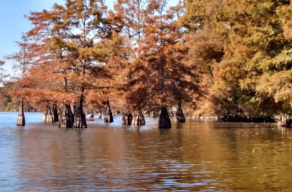 Lake Chicot State Park