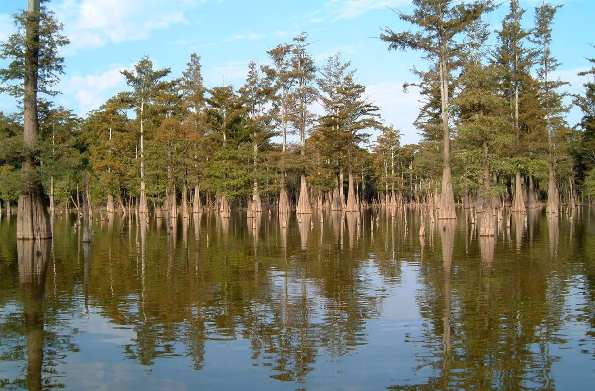 White River National Wildlife Refuge