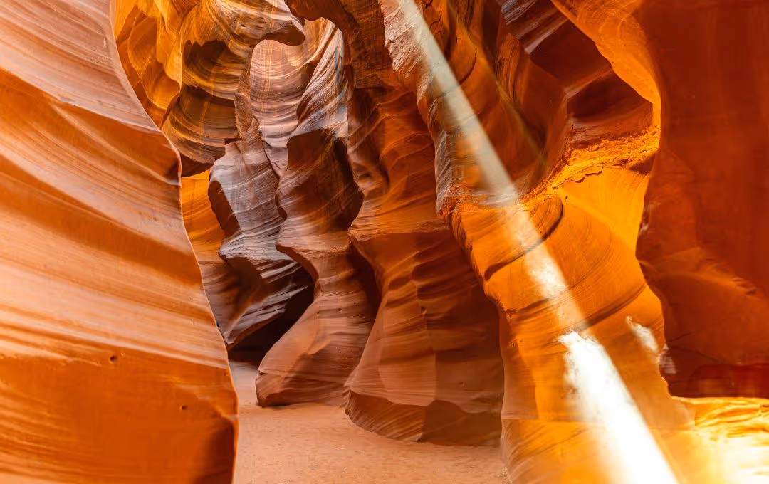Arizona