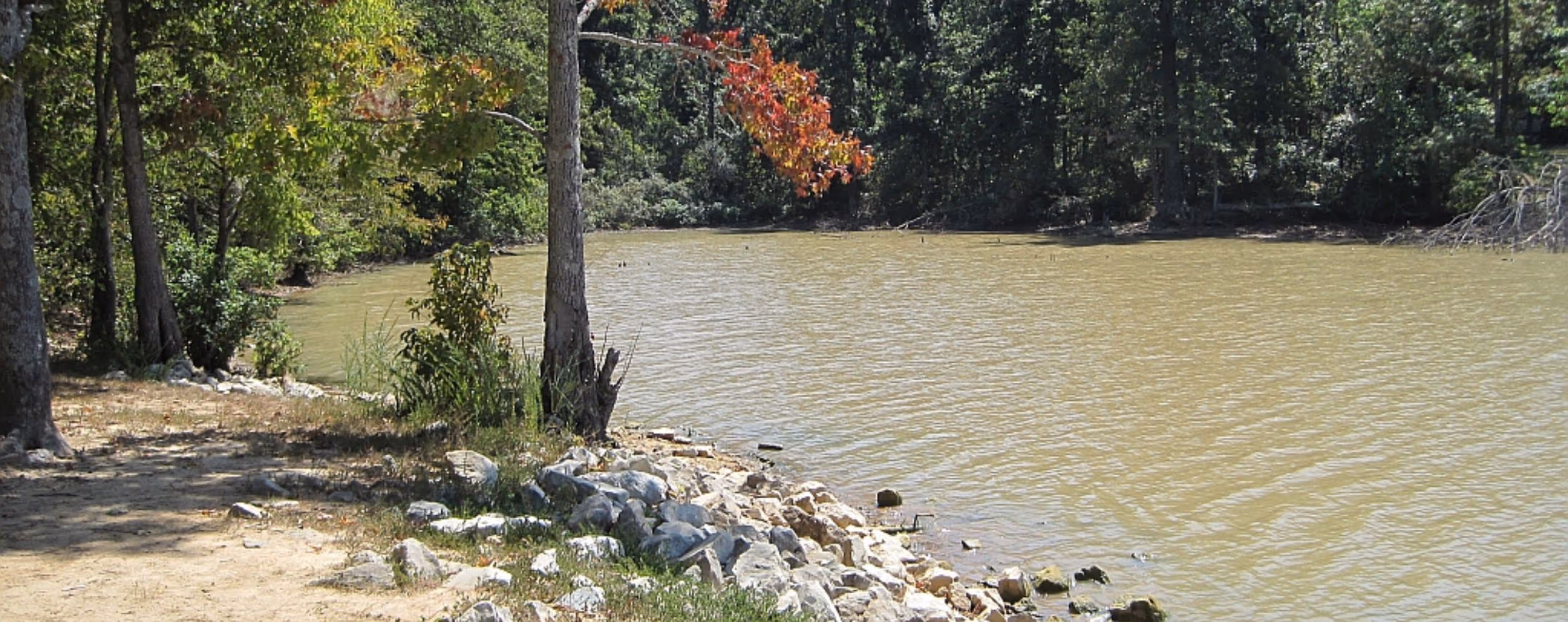 Lake Frierson State Park