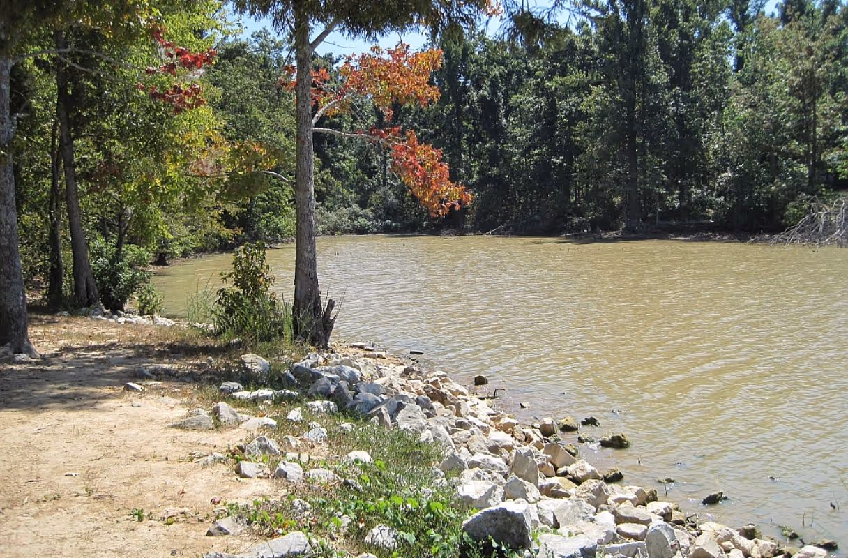 Lake Frierson State Park