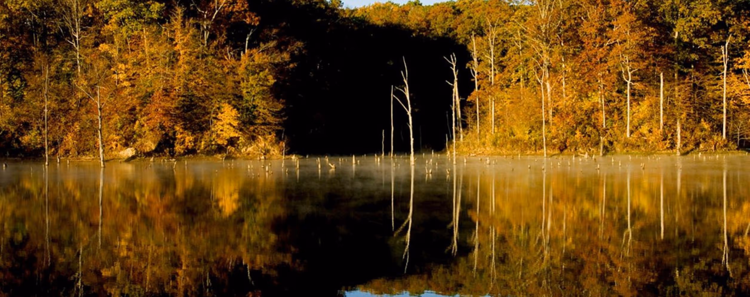 Village Creek State Park