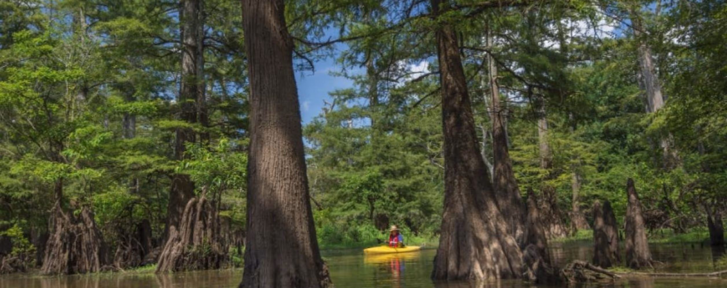 Bayou Bartholomew