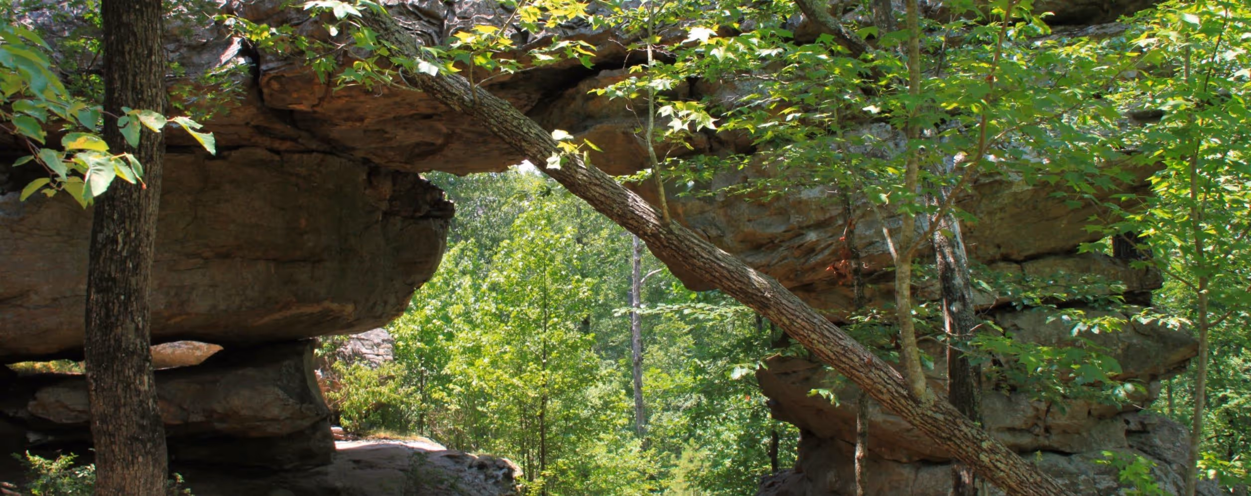 Seven Hollows Trail