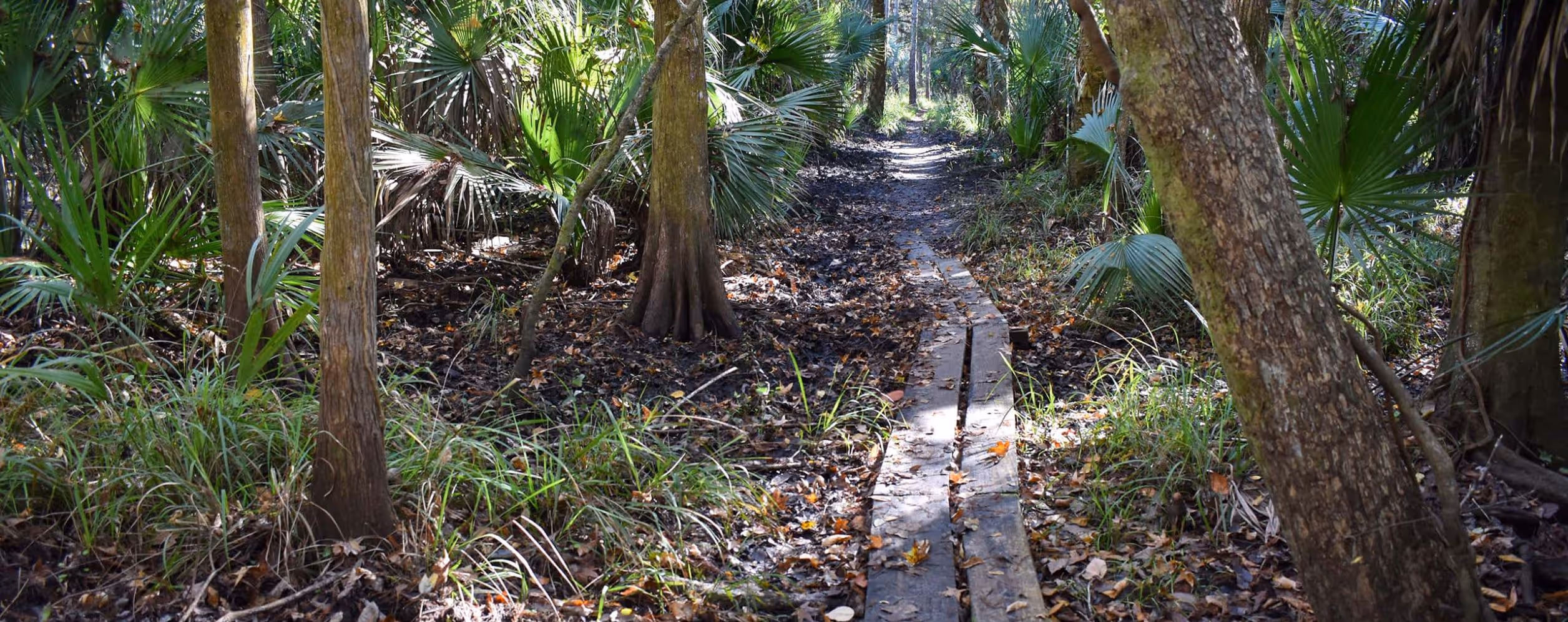 Kolokee Loop Trail