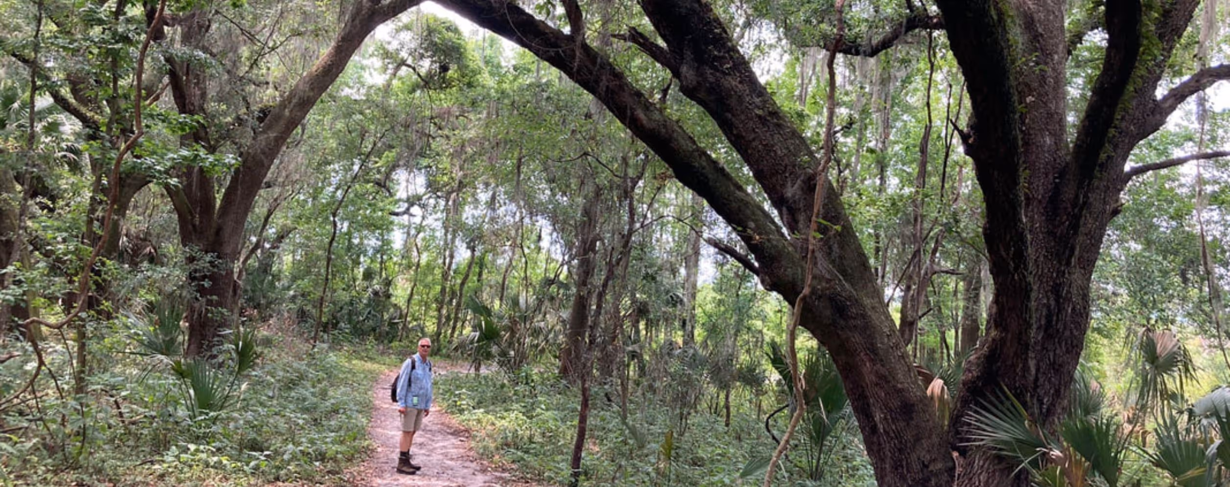 Bolen Bluff Trail