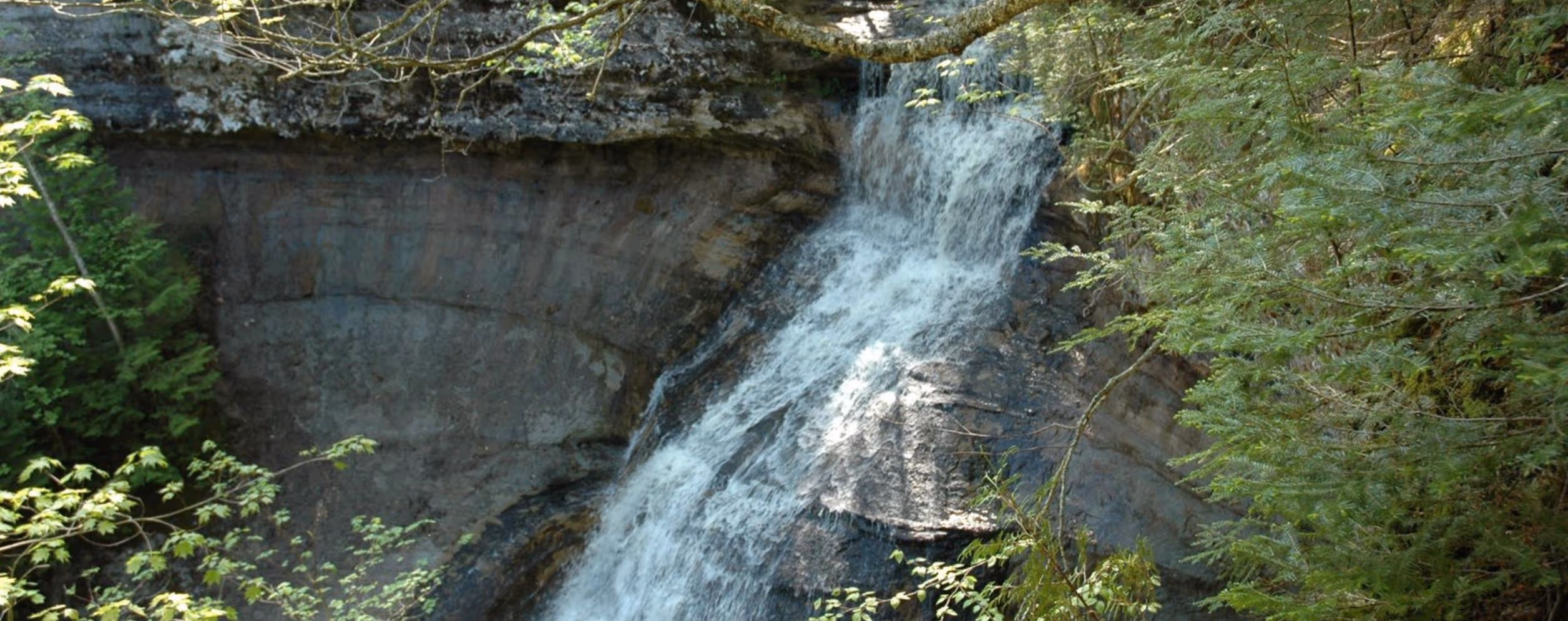 Chapel Falls Trailhead