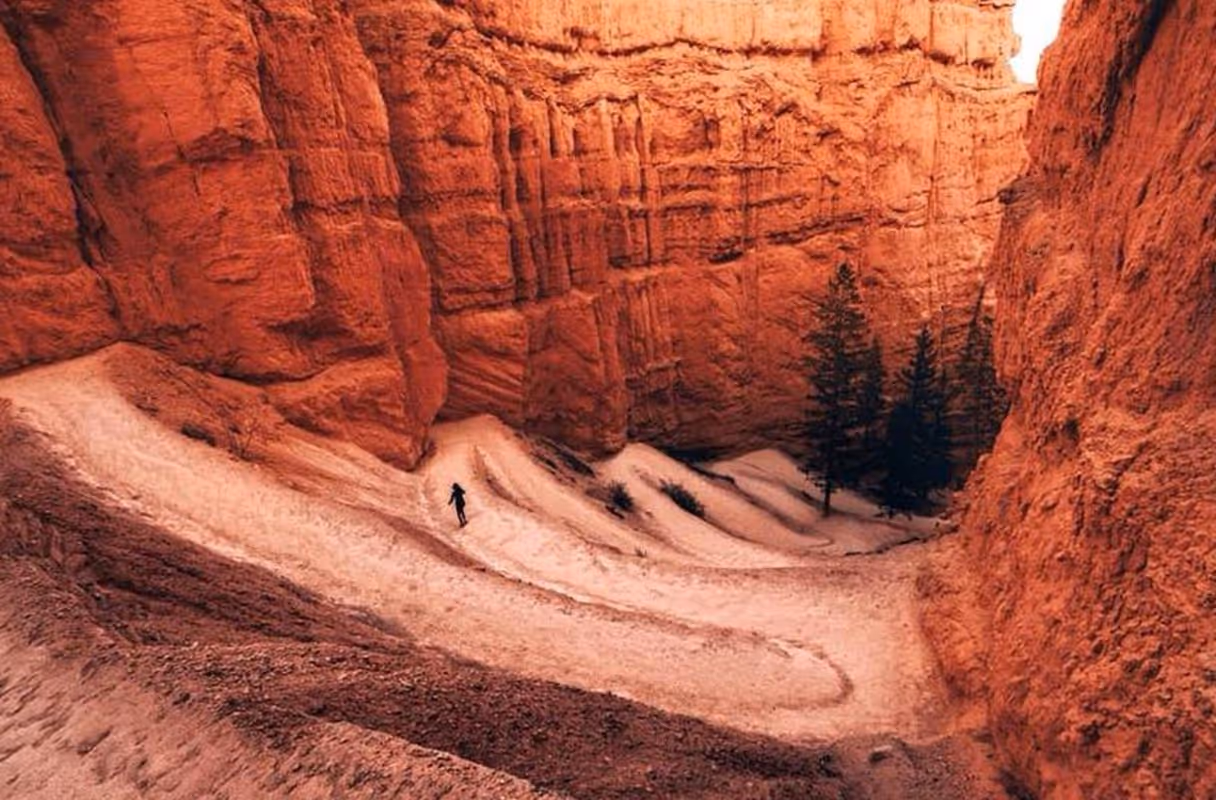 Navajo Loop Trail