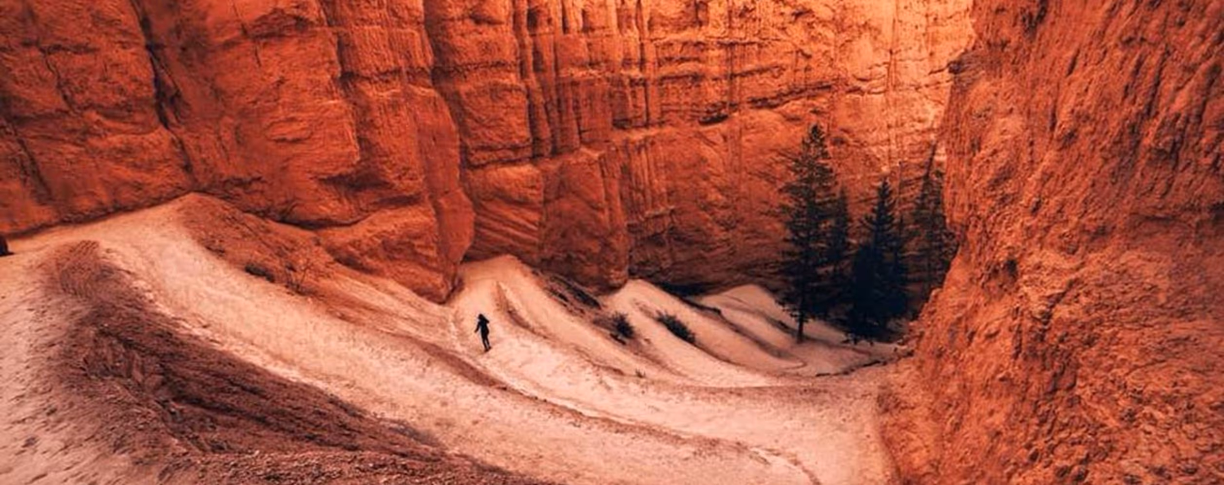 Navajo Loop Trail