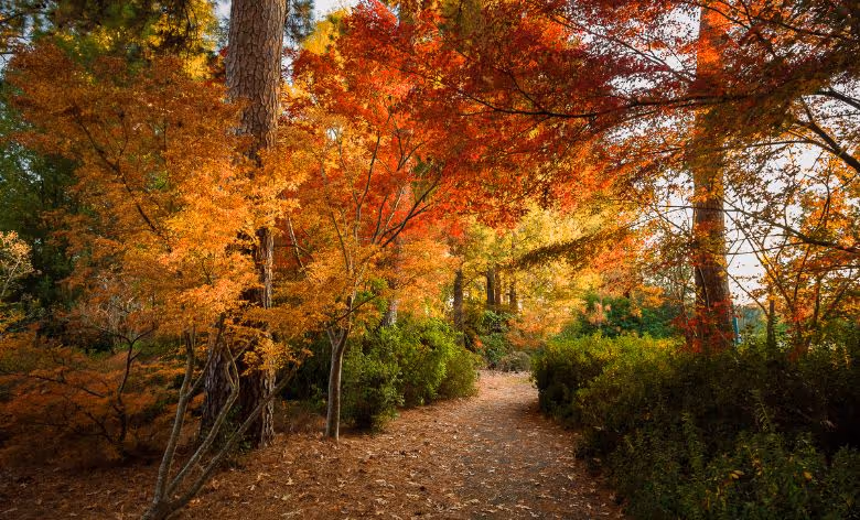15 Texas Adventures That Will Redefine Your Limits