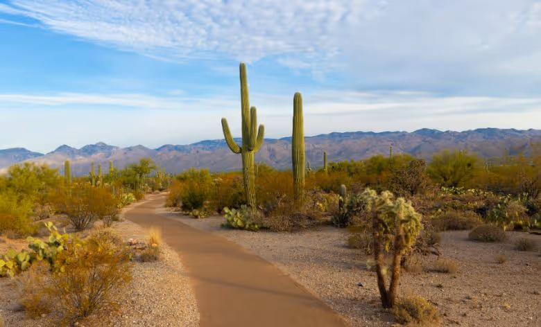 15 Arizona Adventures That Will Redefine Your Limits