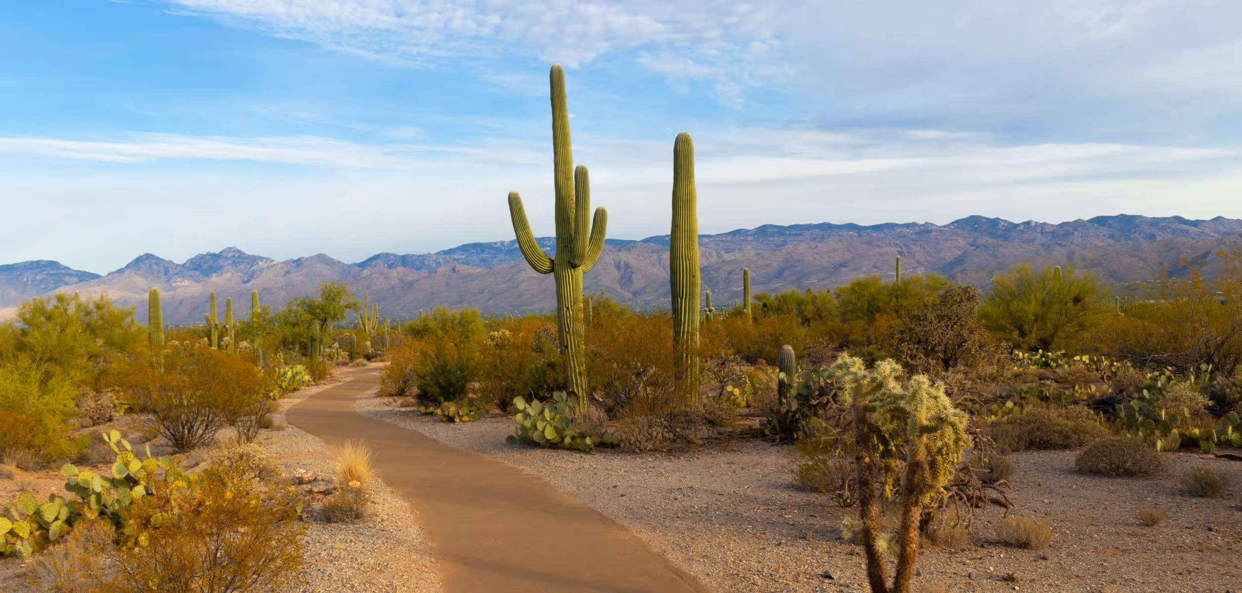 15 Arizona Adventures That Will Redefine Your Limits