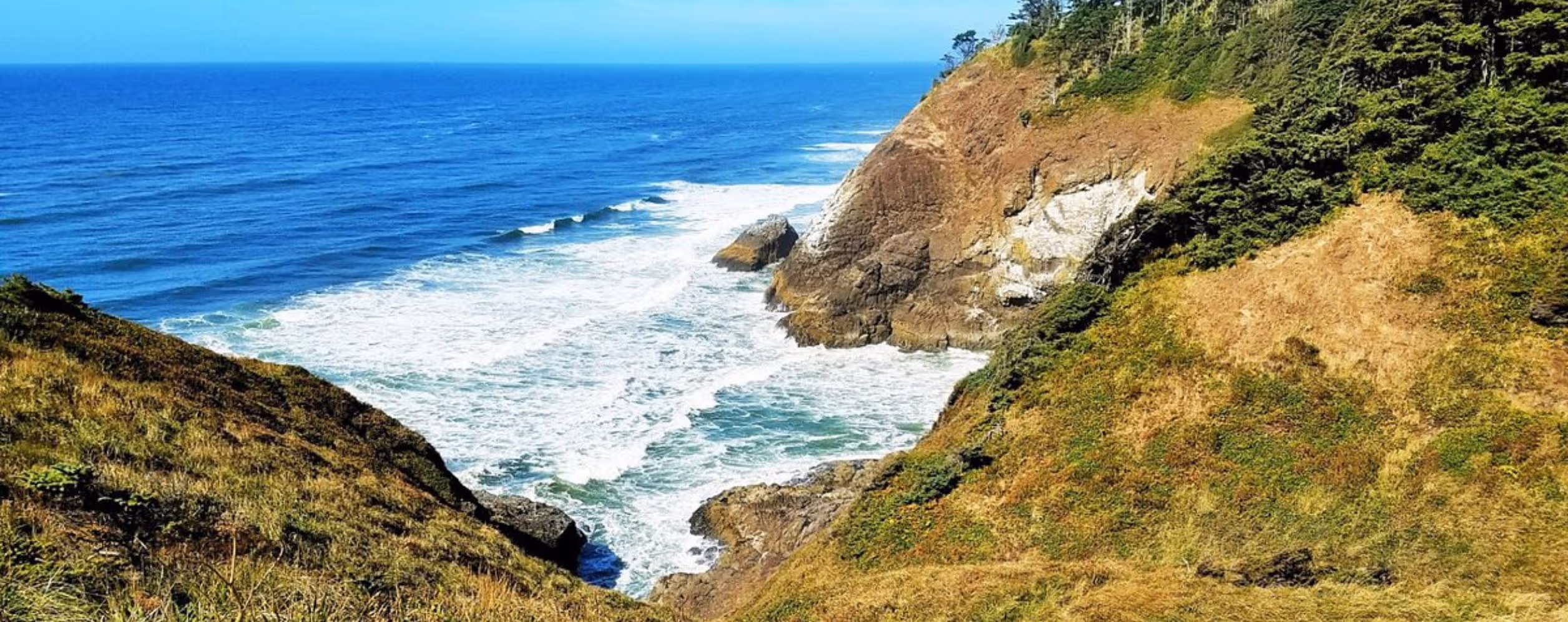 Cape Disappointment State Park
