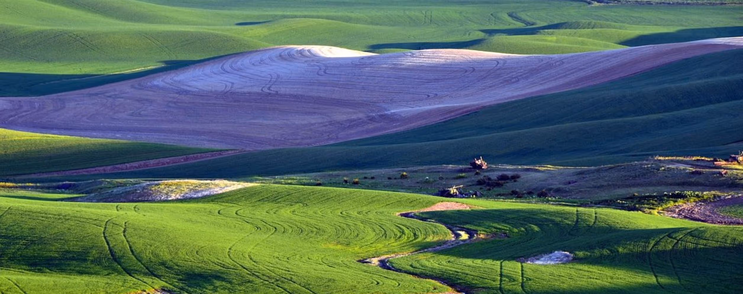 Steptoe Butte State Park