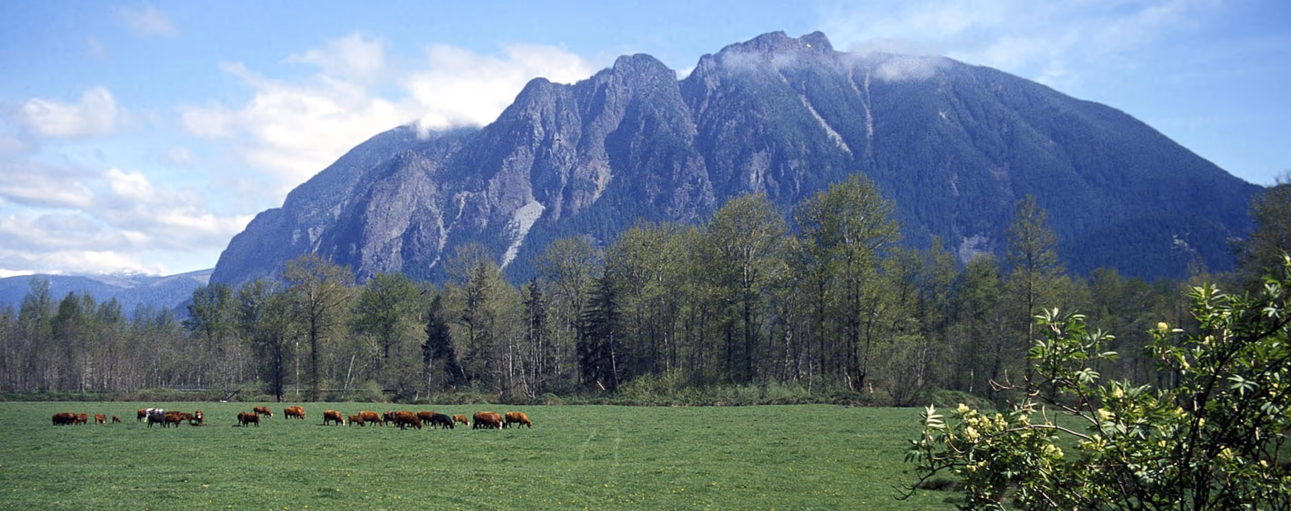 Mount Si Trail (North Bend)