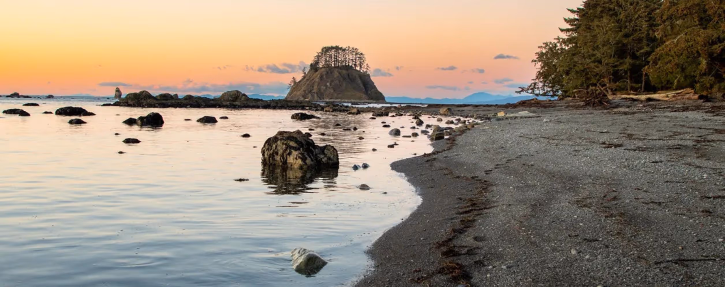 Cape Alava Loop (Ozette Triangle)