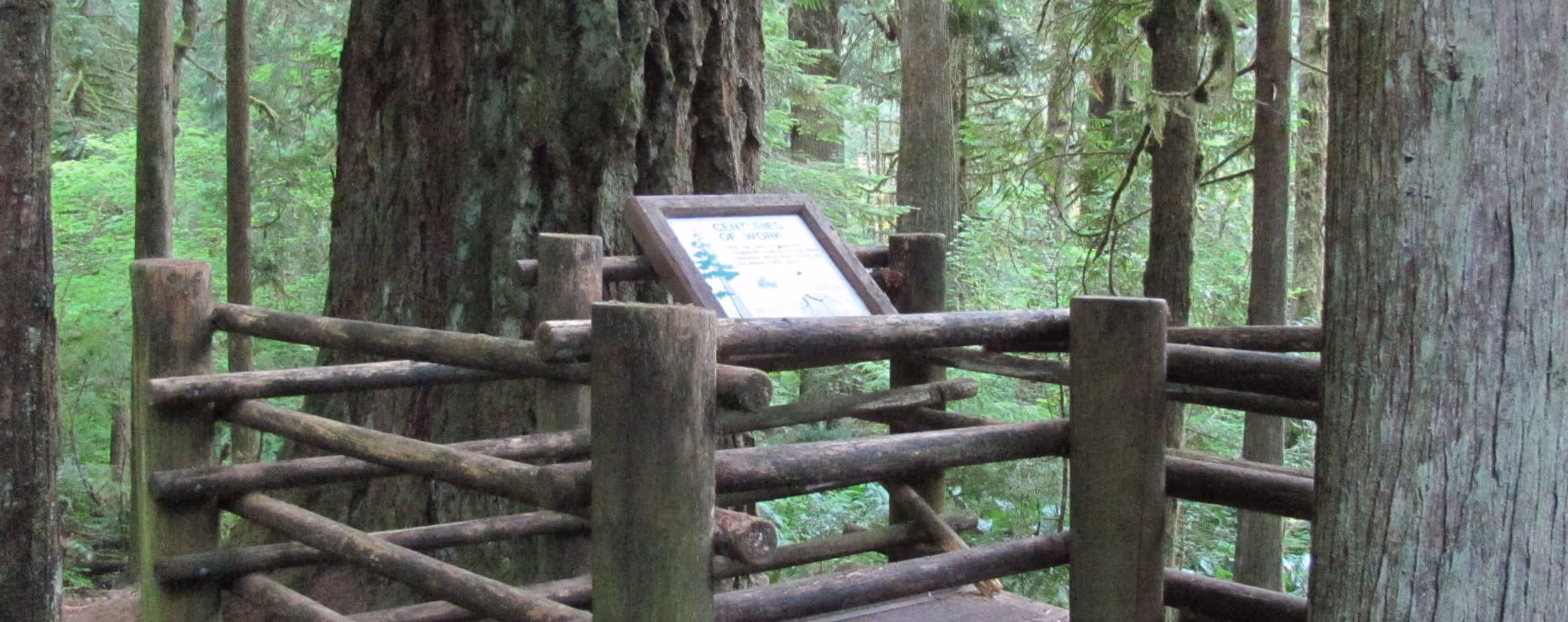 Lewis & Clark State Park (Old-Growth Forest)