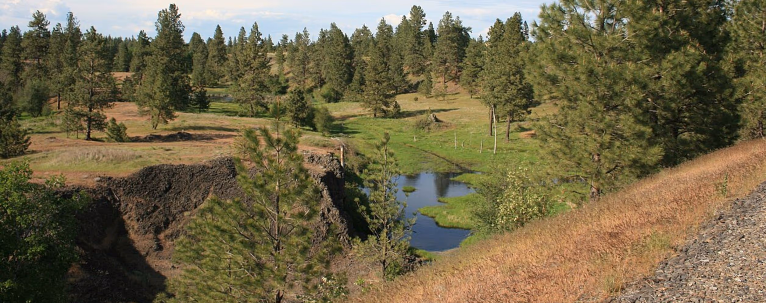 Turnbull National Wildlife Refuge