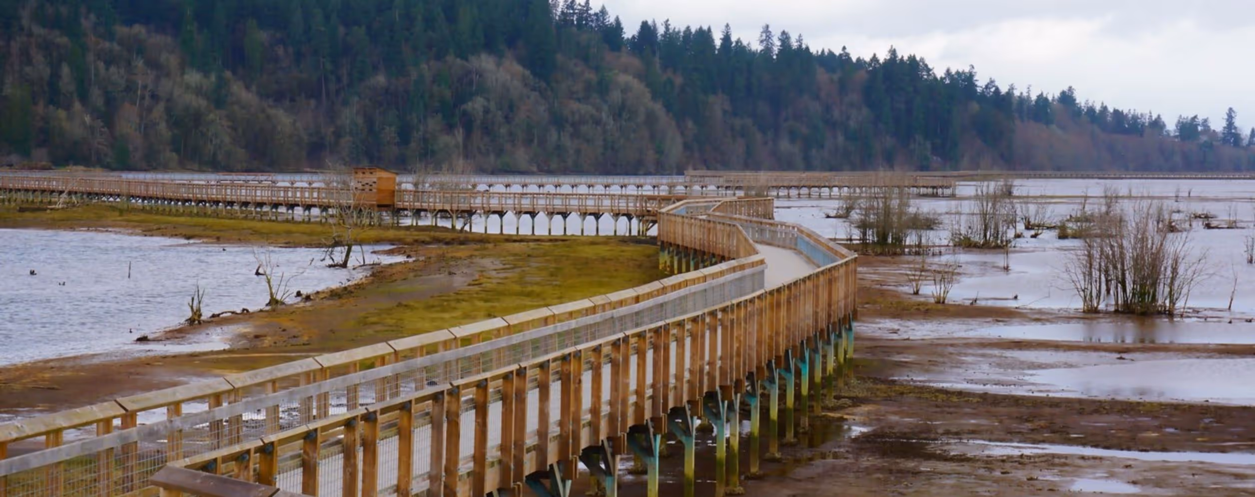 Billy Frank Jr. Nisqually Wildlife Refuge