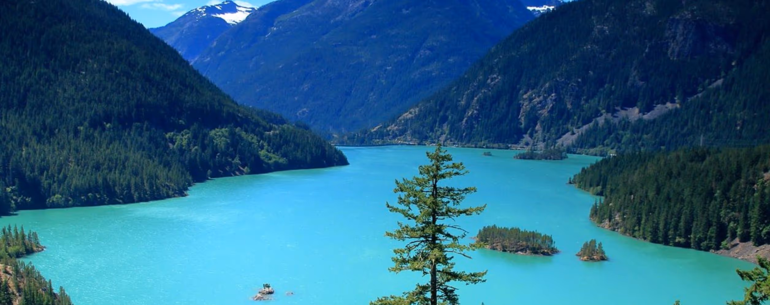 Diablo Lake Vista Point