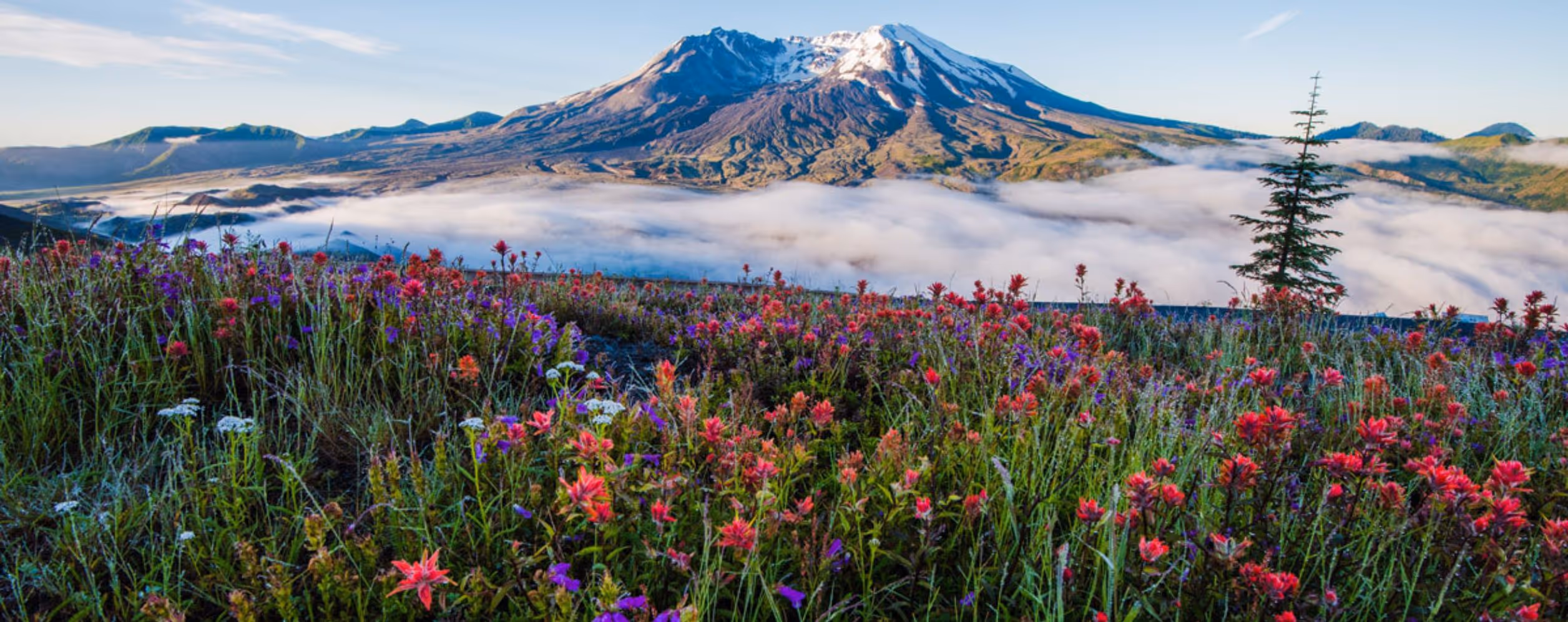 Mount St. Helens National Volcanic Monument