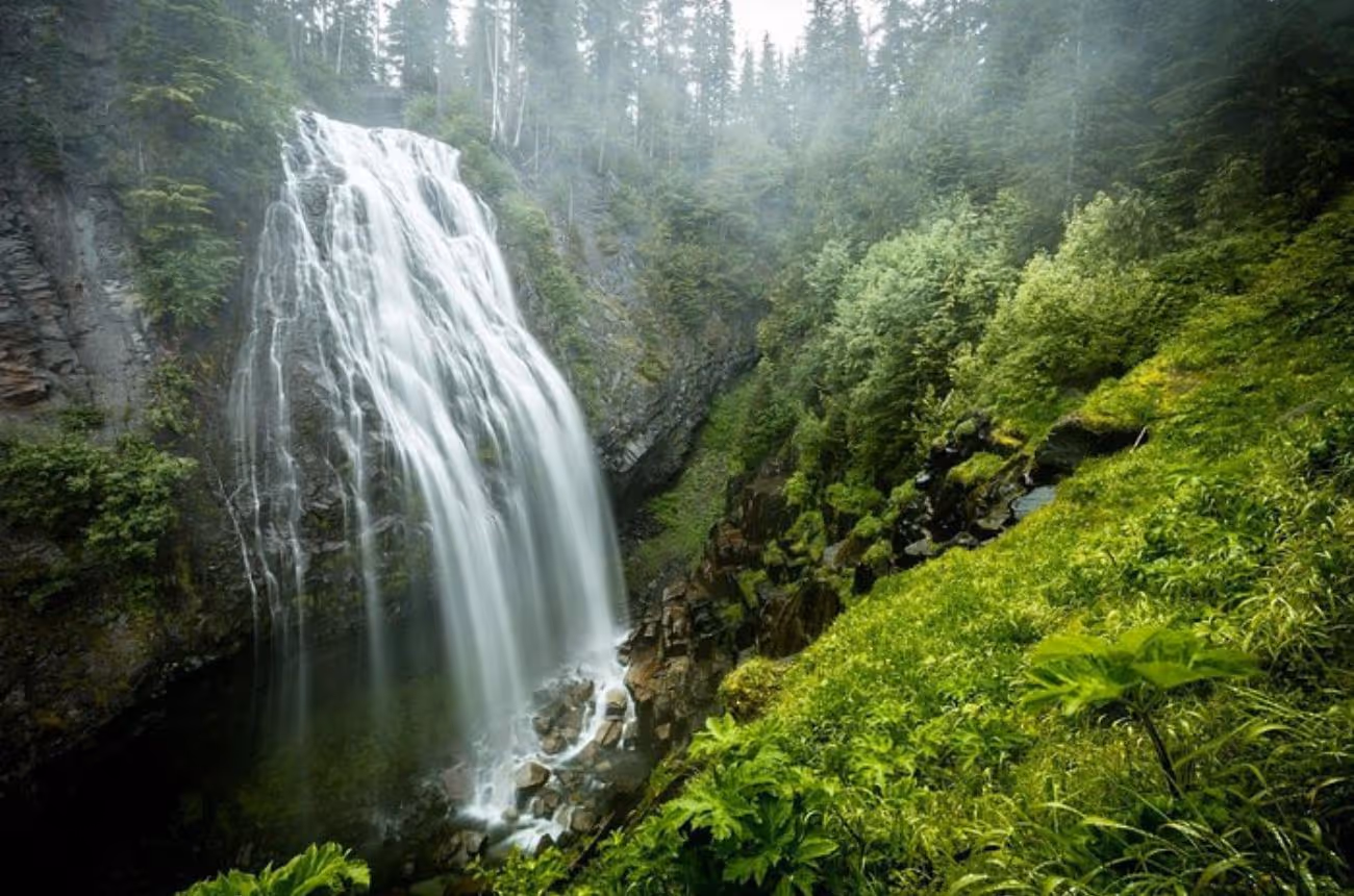 A full-day guided tour from Seattle to Mt. Rainier National Park, showcasing waterfalls, mountain vistas, and historic park highlights with convenient transportation included.