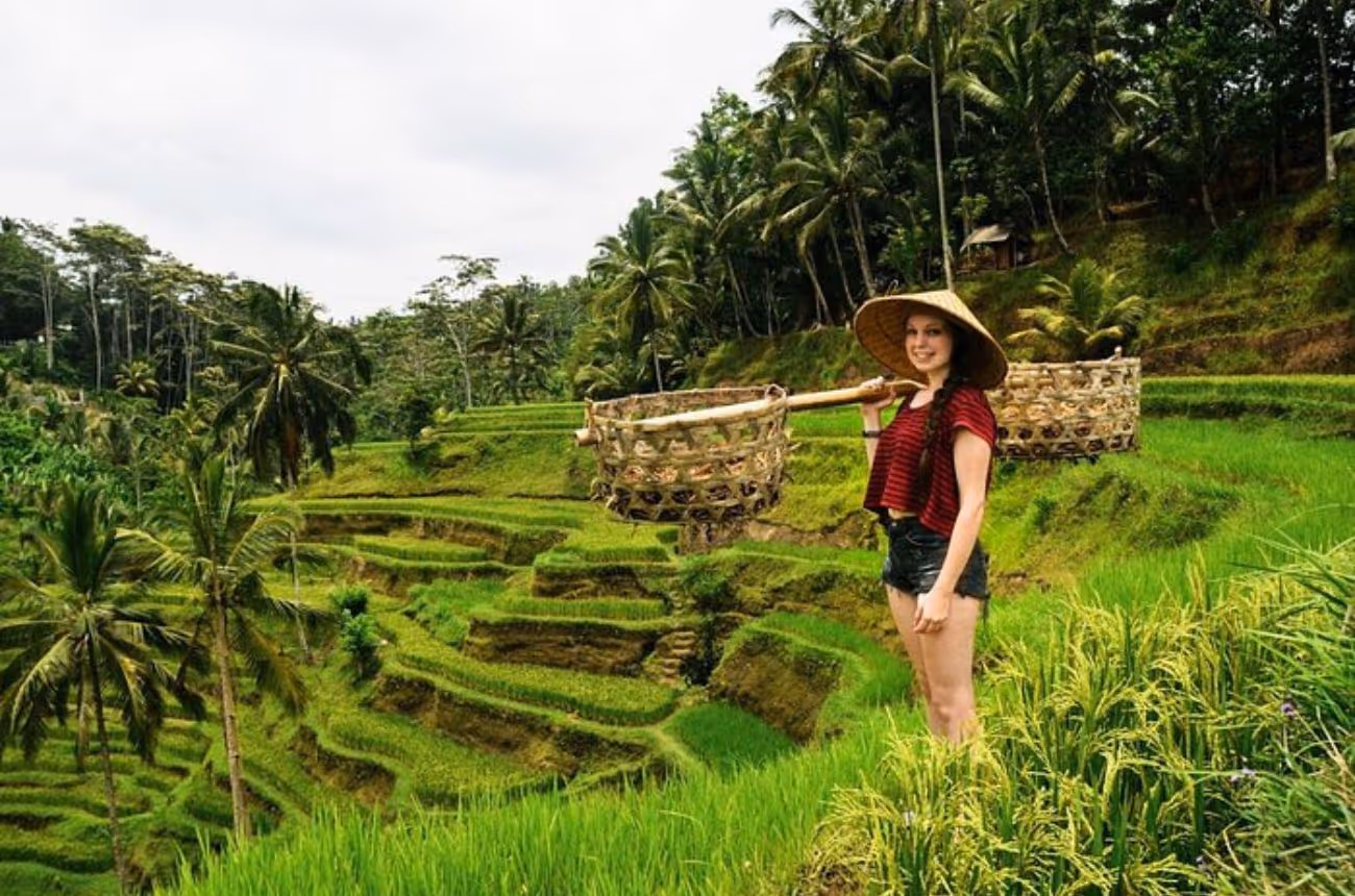 A full-day private trip from Ubud, exploring sacred temples, lush rice terraces, a tropical waterfall, the renowned Monkey Forest, and concluding with a coffee plantation visit.