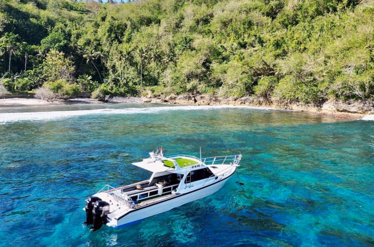 Combine fast-boat snorkeling with manta ray sightings and a scenic land tour across Nusa Penida’s most breathtaking coastal viewpoints in a single epic day trip.