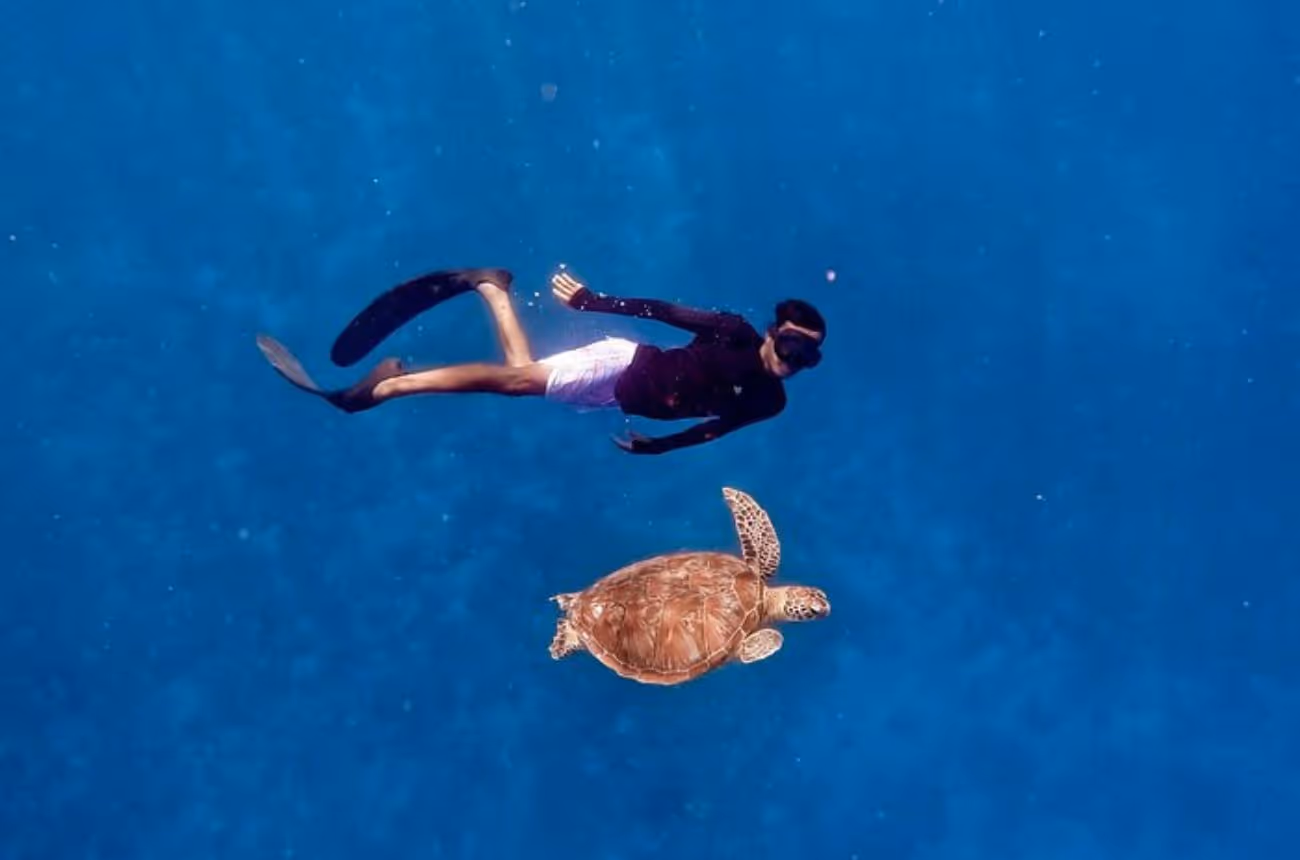 Dive into the vibrant underwater world around the Gili Islands on a half-day snorkeling trip, swimming among sea turtles and exploring fascinating submerged statues.
