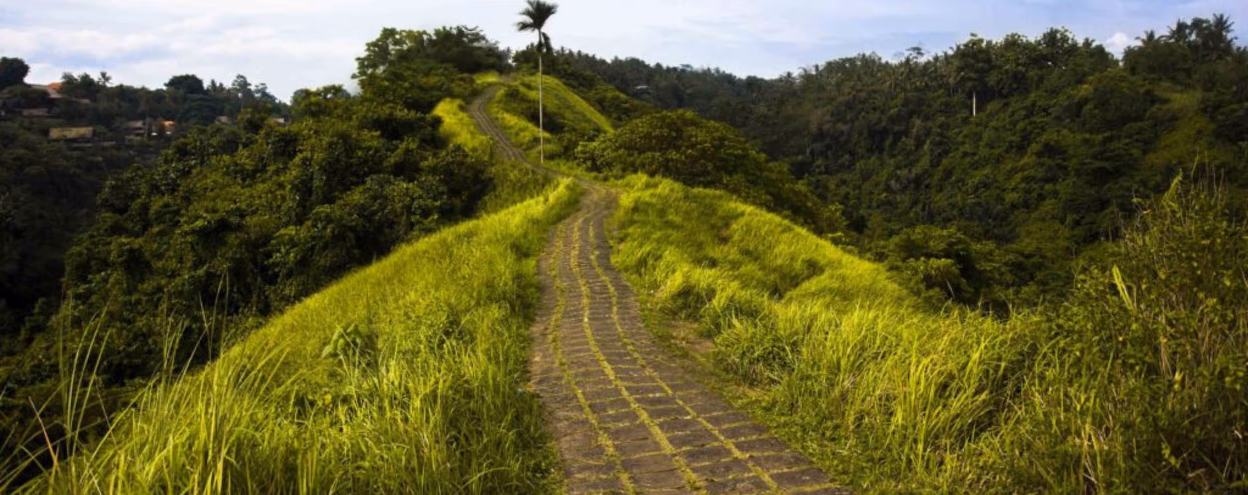 Campuhan Ridge Walk (Ubud)