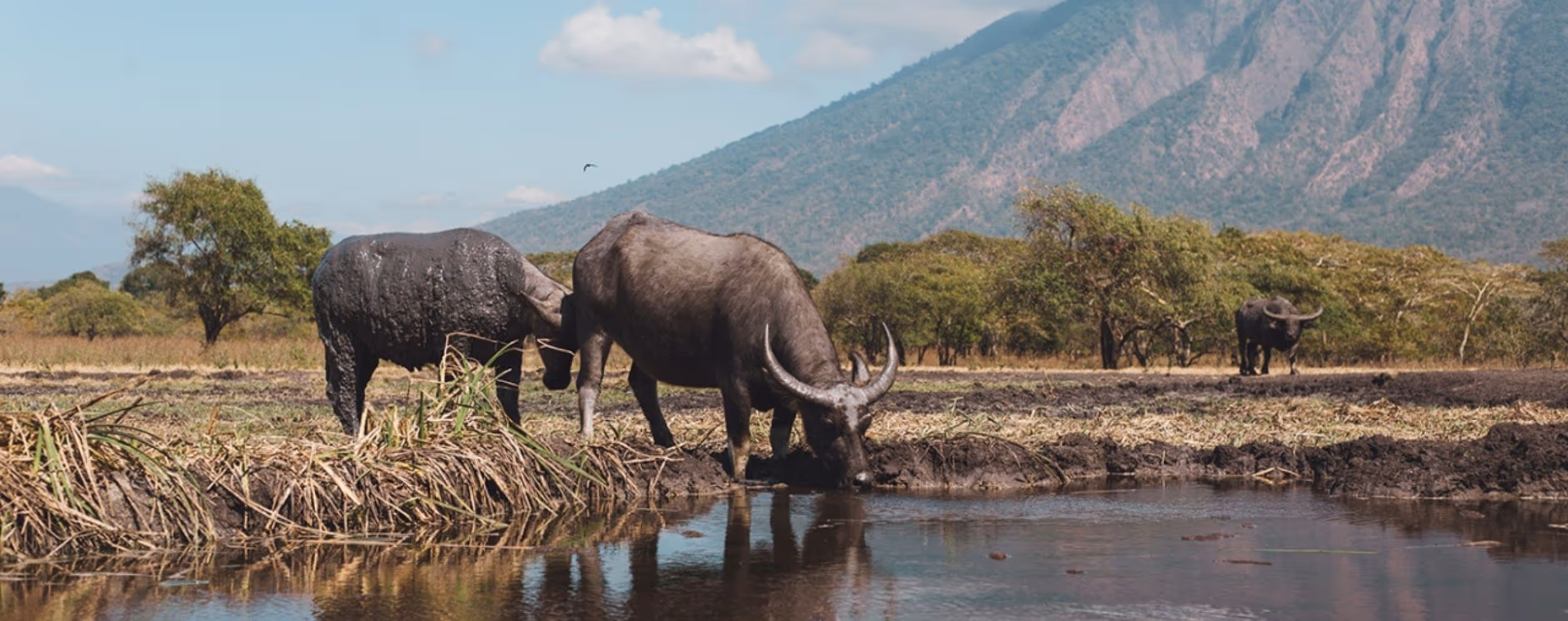 Baluran National Park