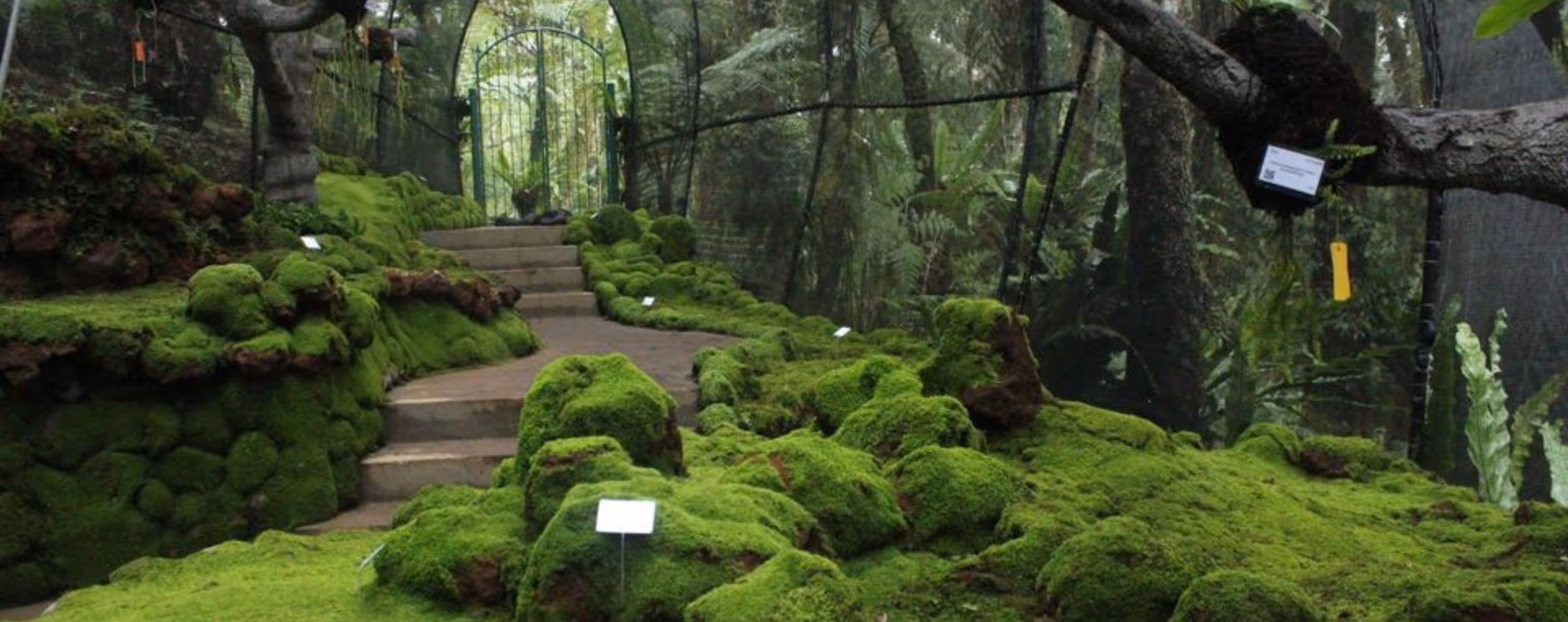 Bali Botanic Garden
