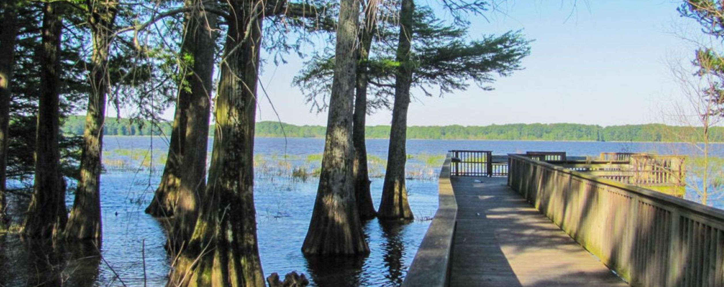 Wapanocca National Wildlife Refuge