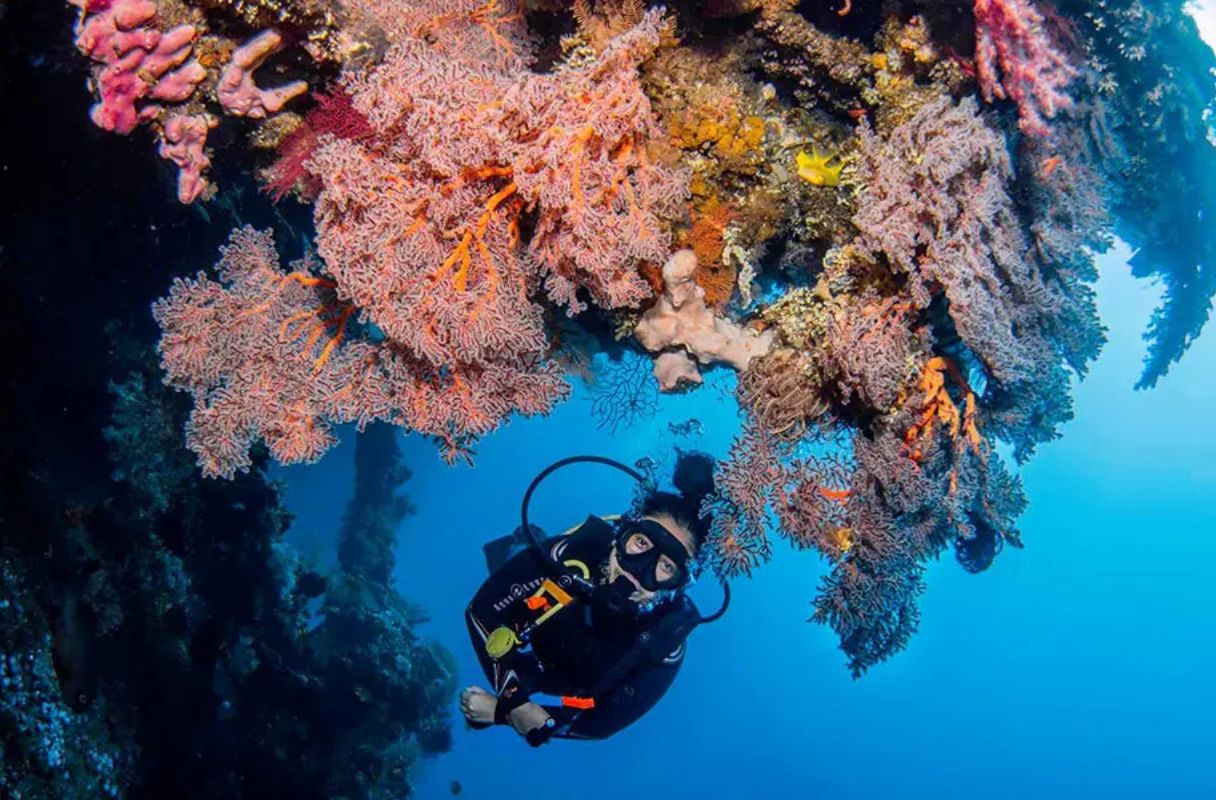 Tulamben (USAT Liberty Shipwreck Dive)