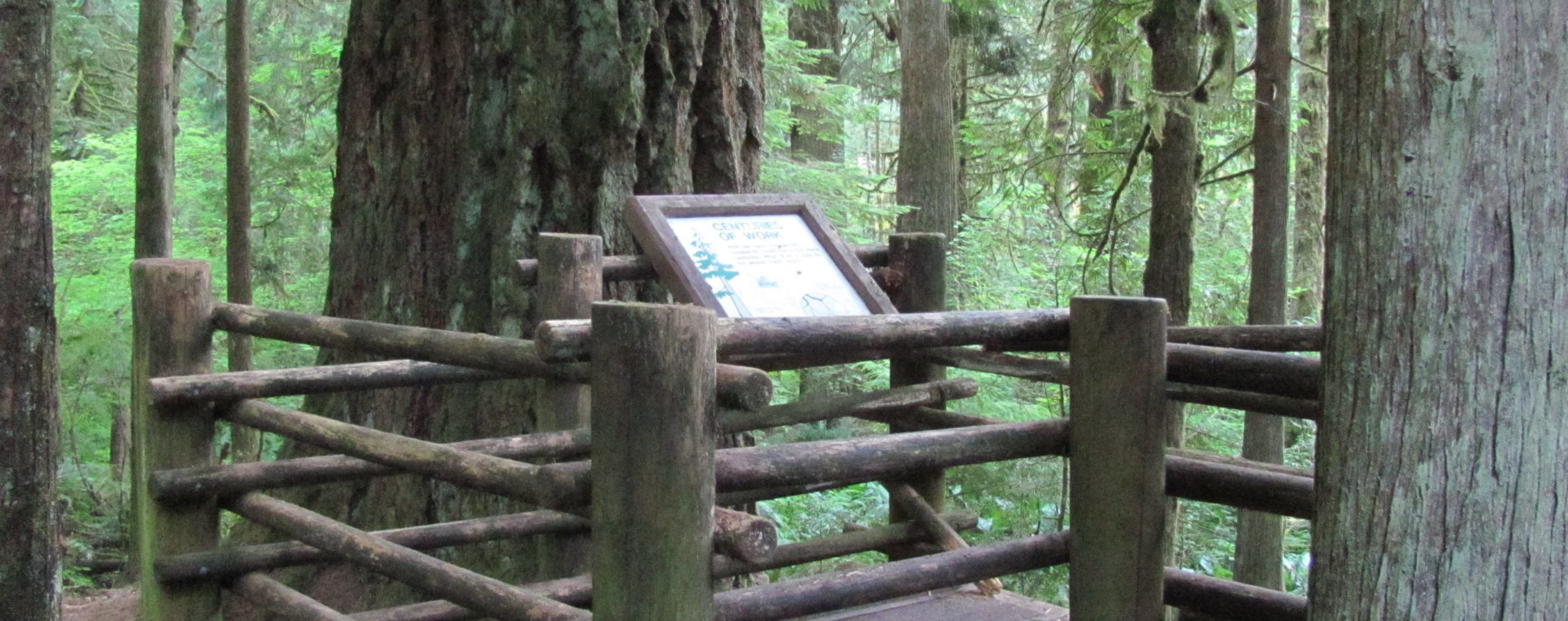 Lewis & Clark State Park (Old-Growth Forest)