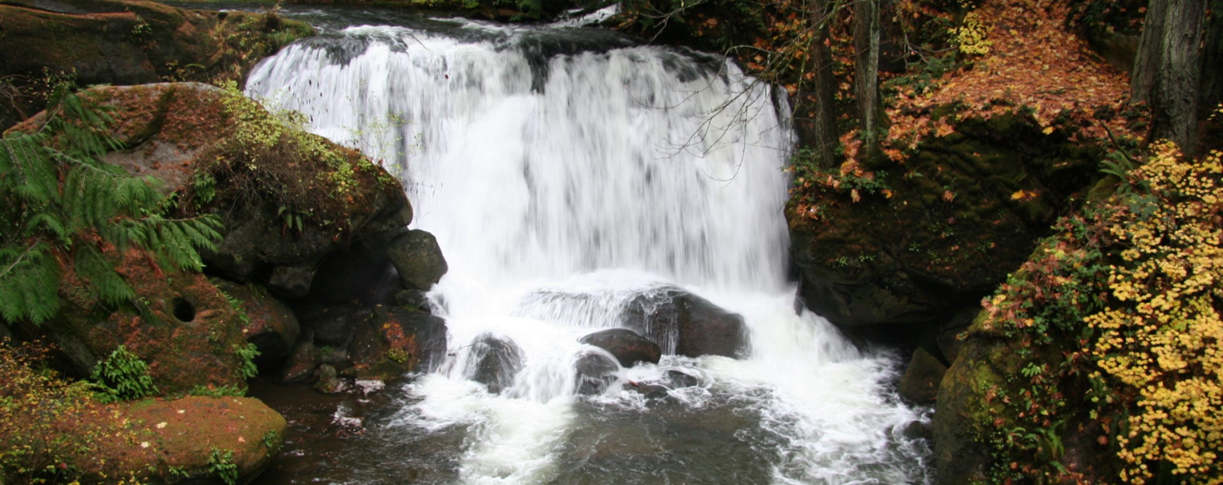 Whatcom Falls Park