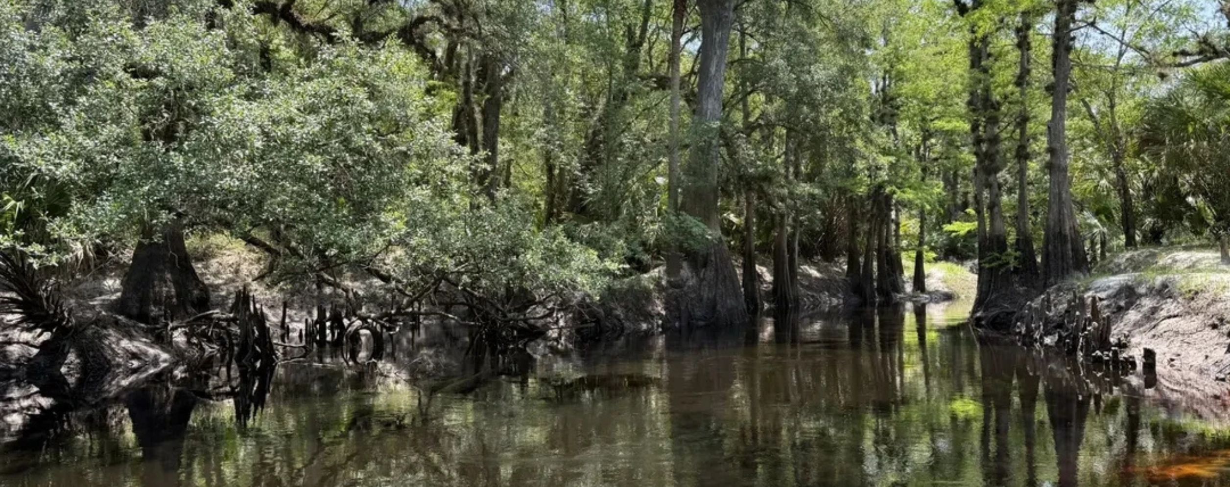 Econ River Wilderness Area Red Loop
