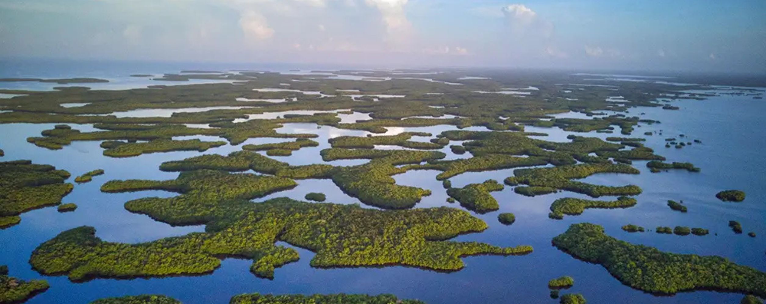 Everglades City & Ten Thousand Islands
