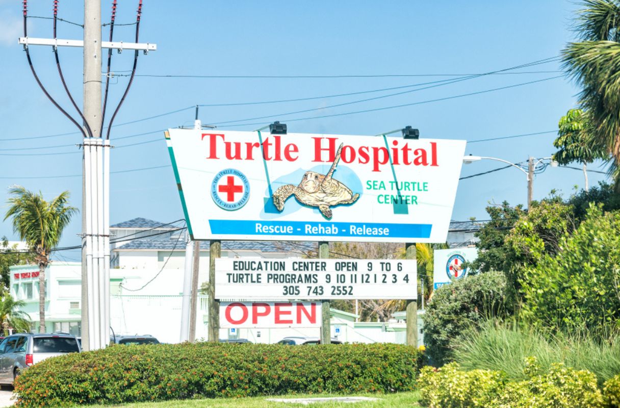 Turtle Hospital (Marathon)