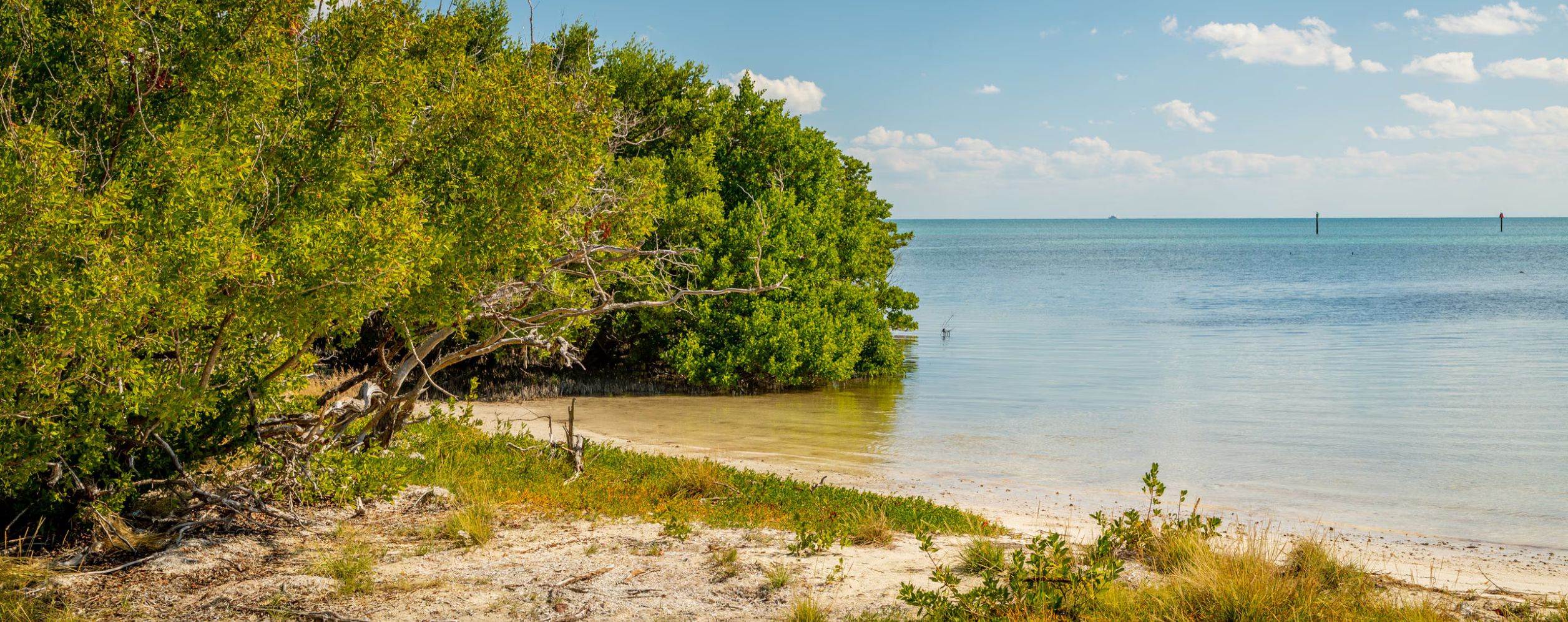 Anne’s Beach (Lower Matecumbe Key)