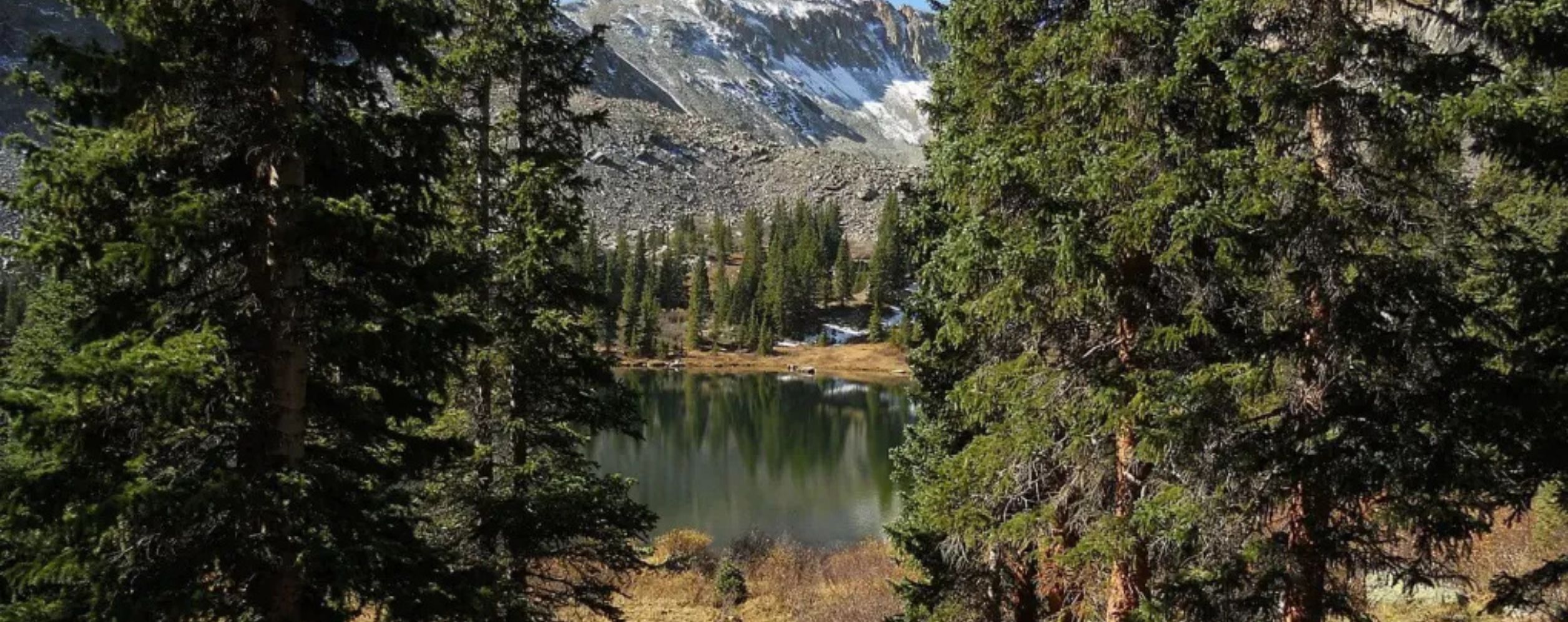 Fossil Ridge Wilderness