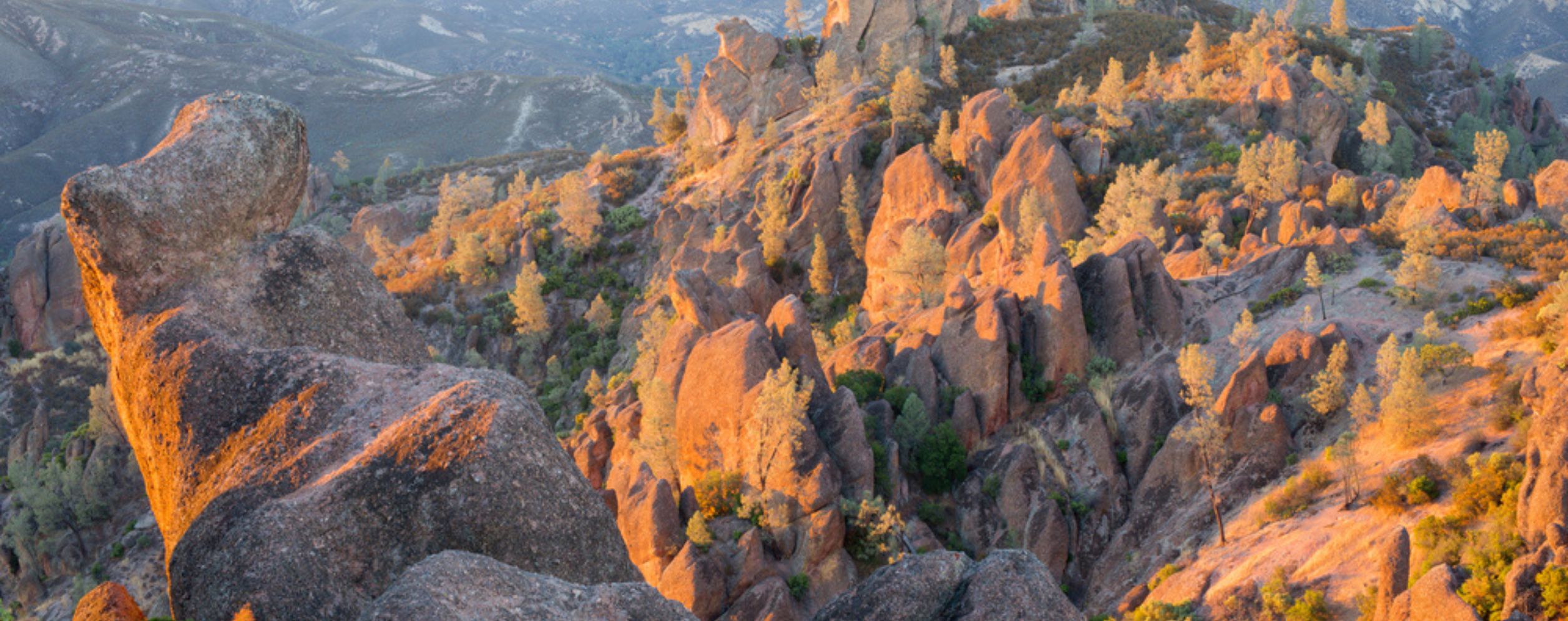 Pinnacles National Park (San Benito County)