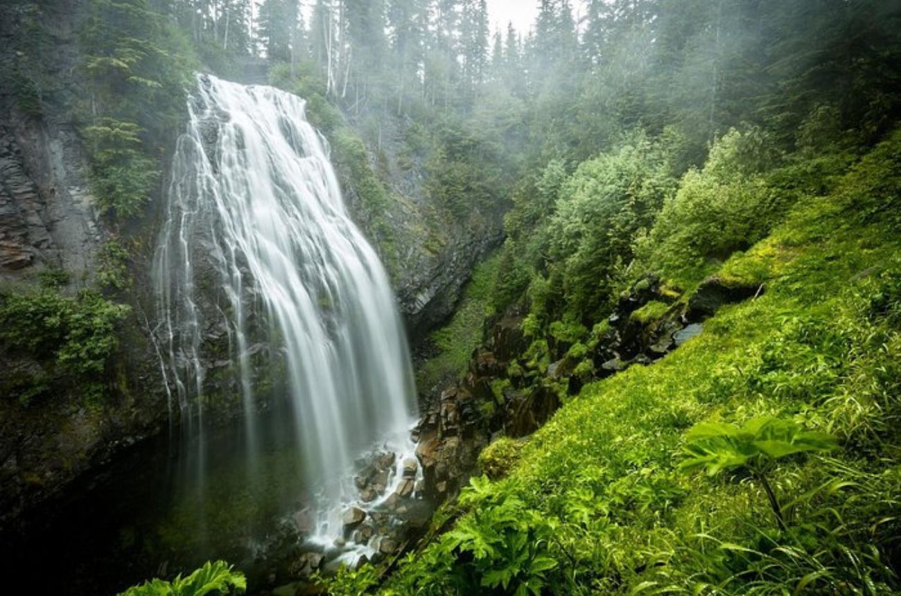 A full-day guided tour from Seattle to Mt. Rainier National Park, showcasing waterfalls, mountain vistas, and historic park highlights with convenient transportation included.