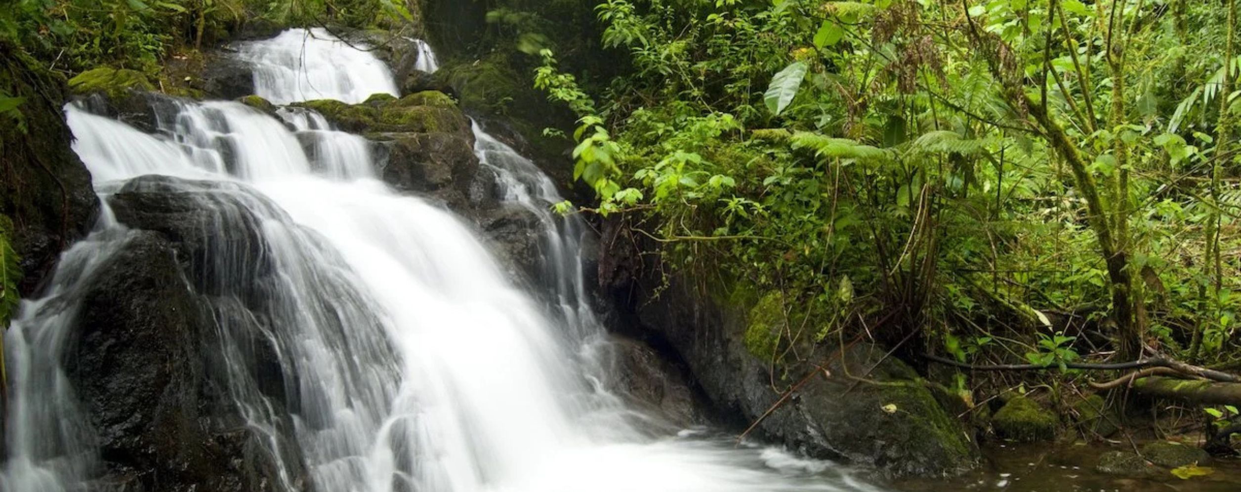 La Amistad International Park
