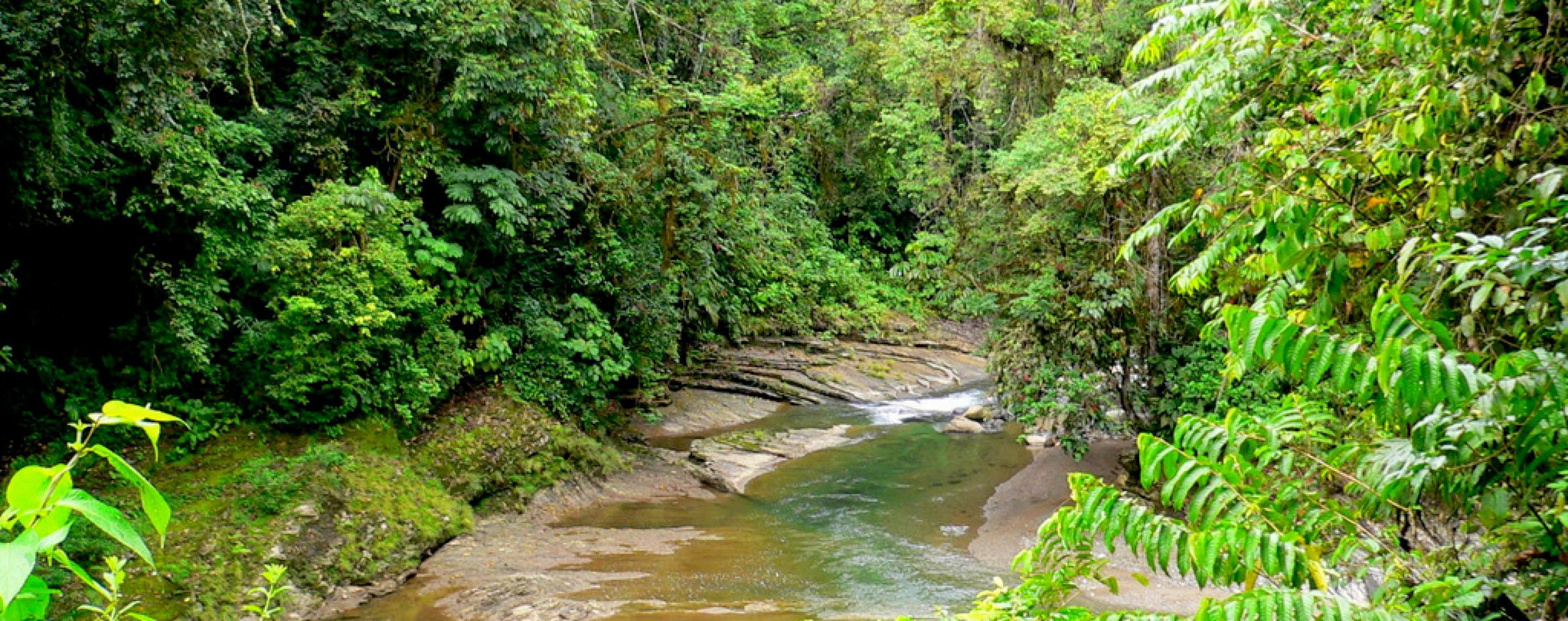 Barbilla National Park
