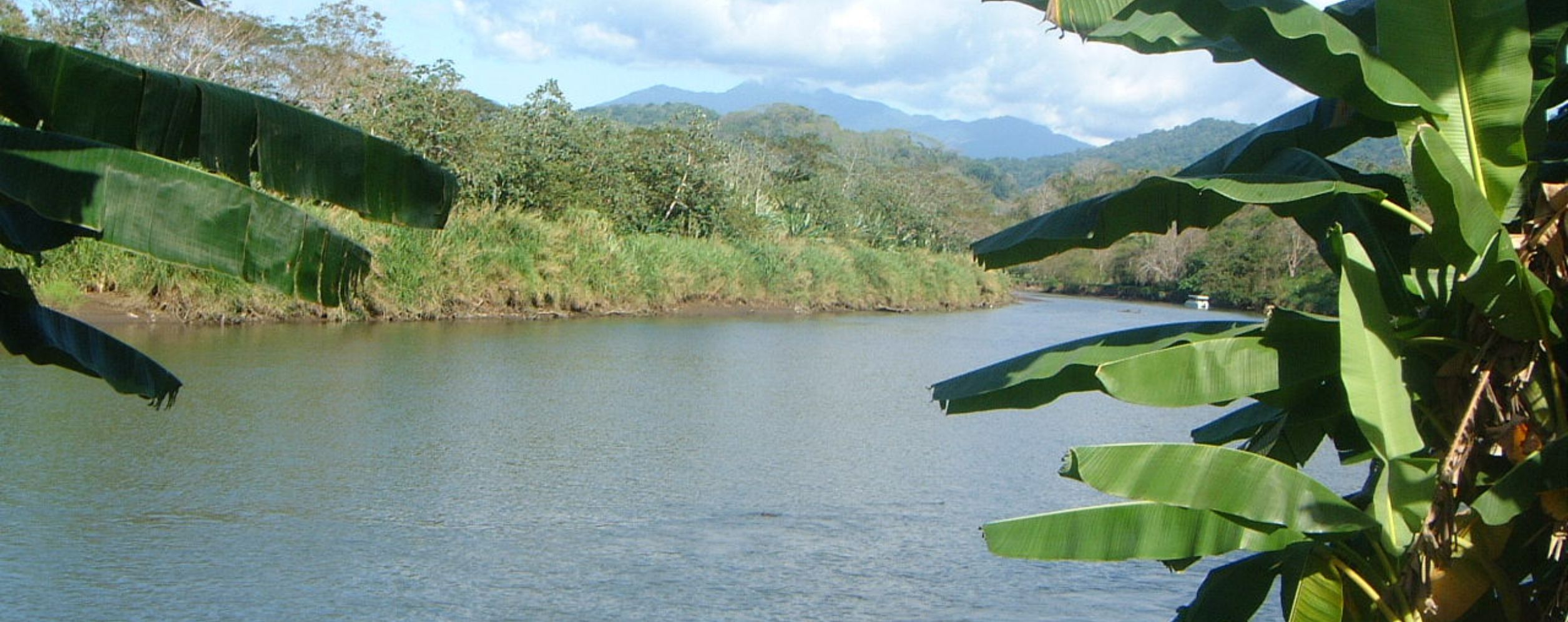 Tarcoles River