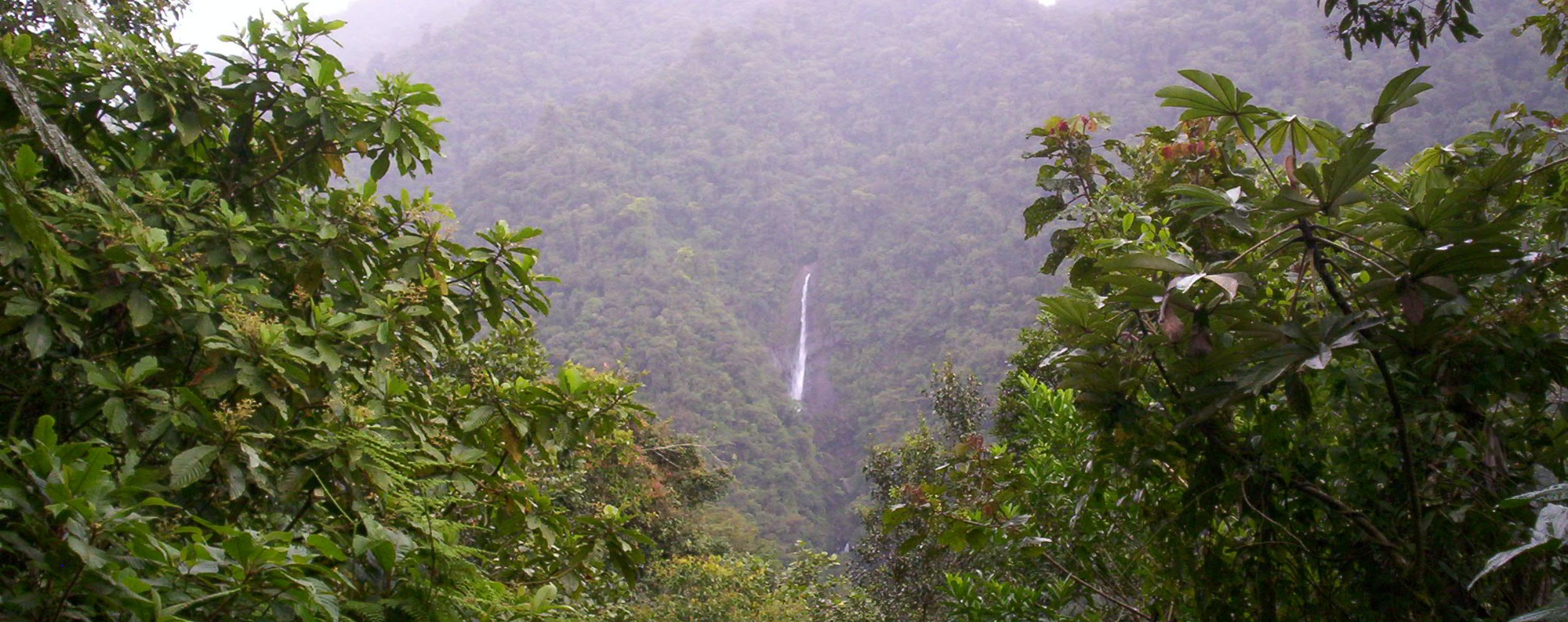 Tapantí National Park