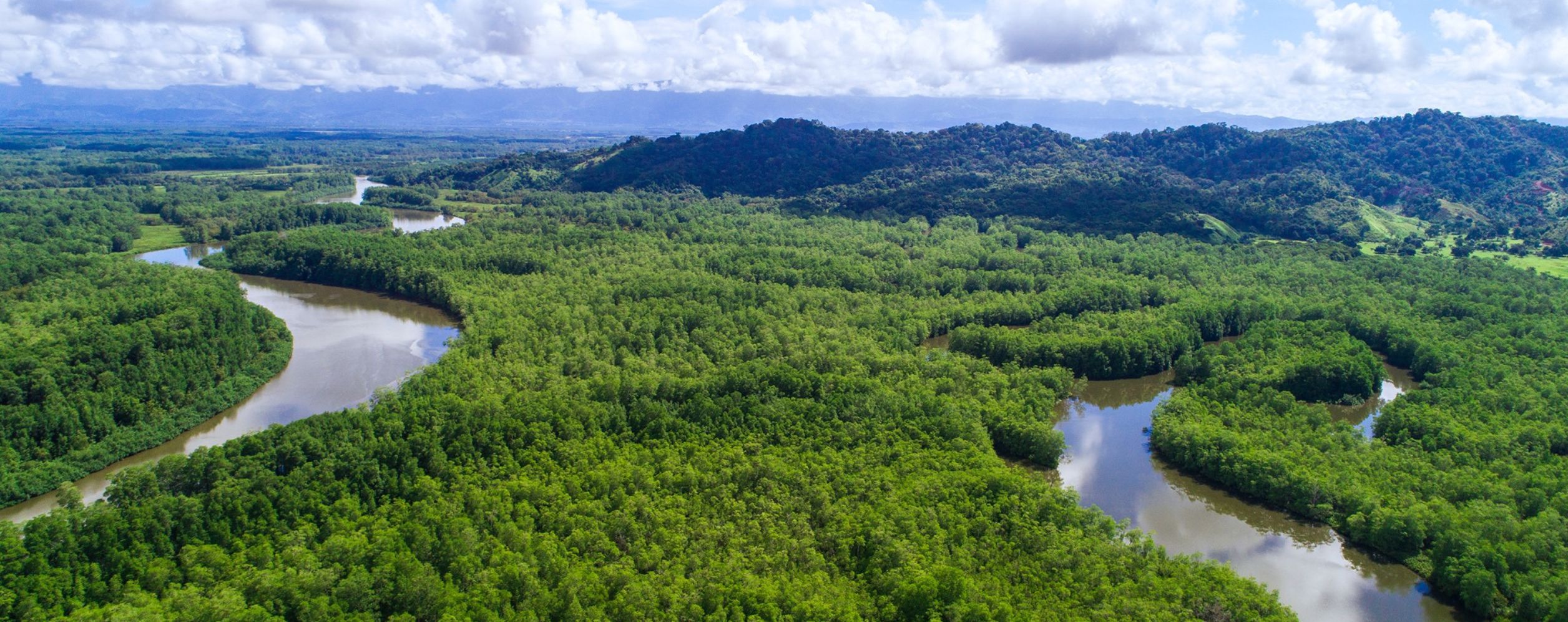 Térraba-Sierpe Wetland