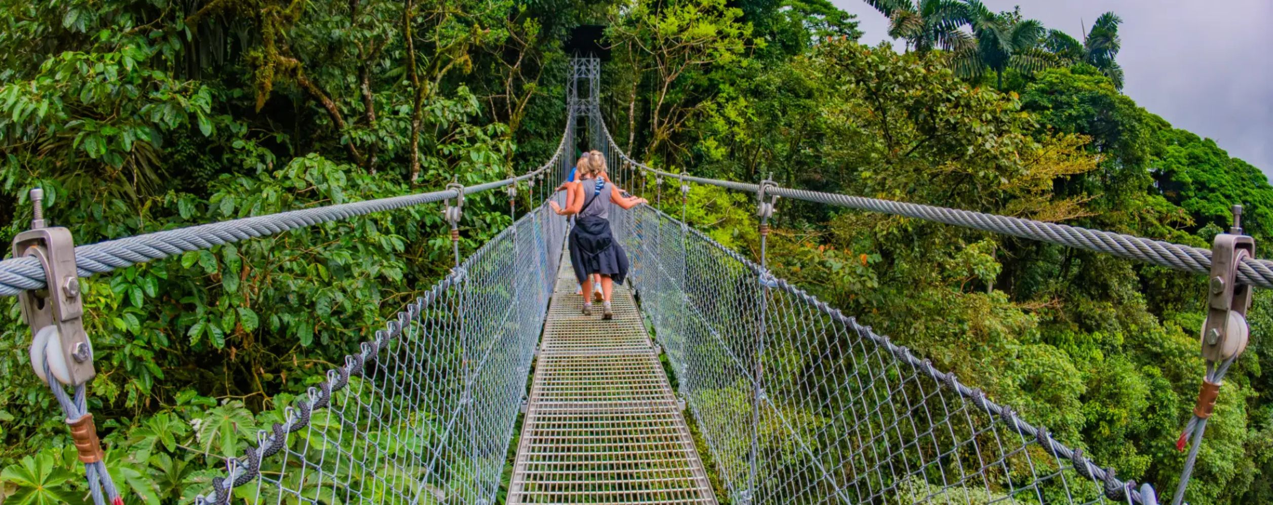 Mistico Arenal Hanging Bridges Park