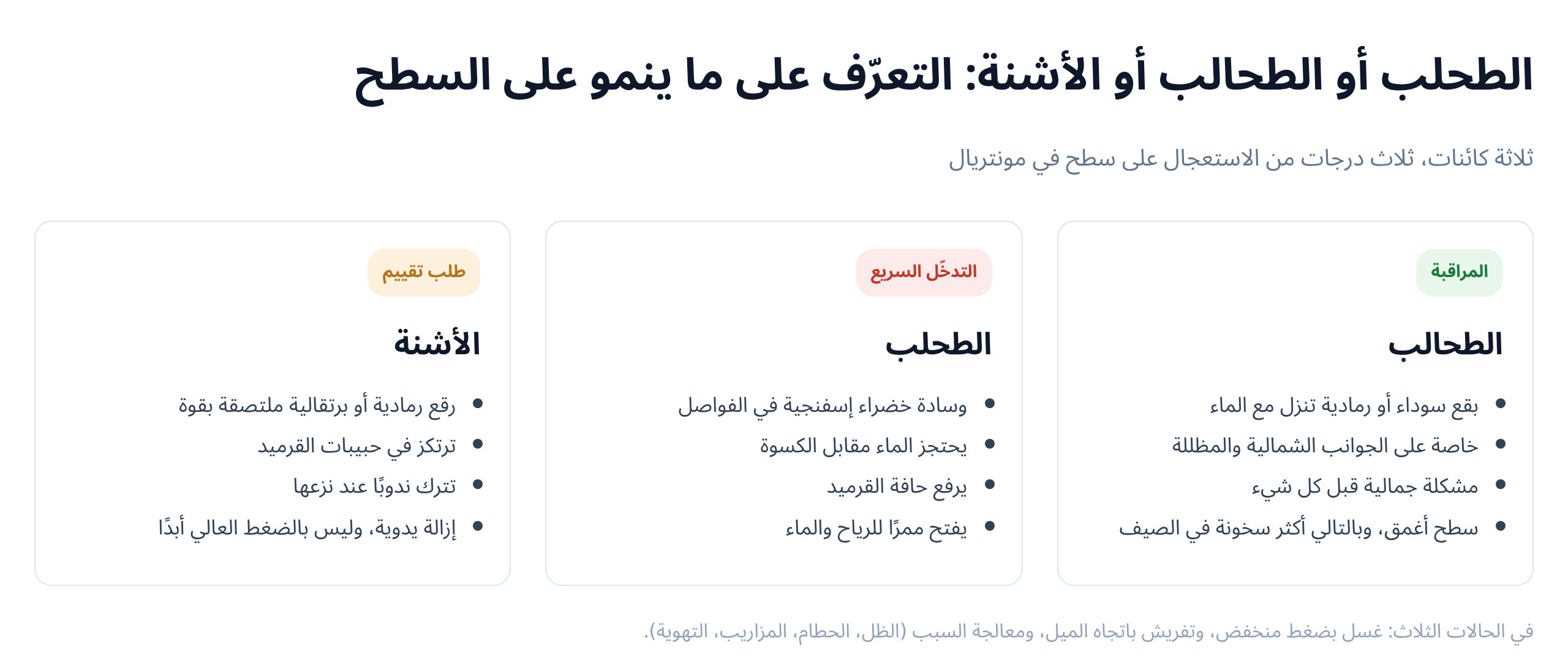 ثلاثة كائنات، وثلاث درجات من الأهمية.